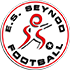 ES Seynod Logo