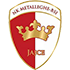 Metalleghe BSI