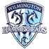 Wilmington Hammerheads logo